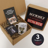 Подарочный бокс «Мужику, у которого все есть» Mini